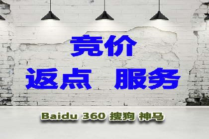 谷歌SEM广告投放的ROI优化：一家科技公司的成功经验